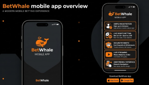 promo codes in the app